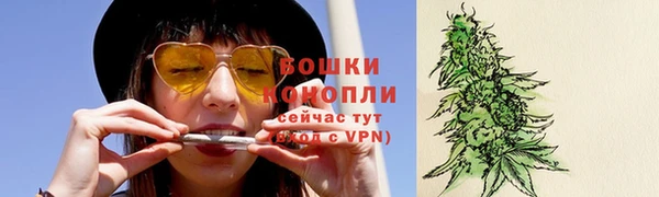 индика Осташков