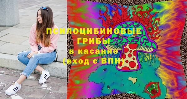 сатива Алексин