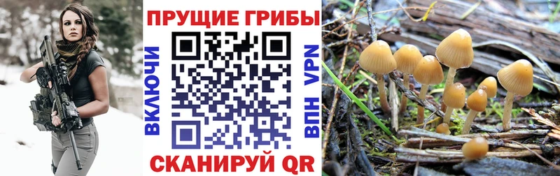 Галлюциногенные грибы MAGIC MUSHROOMS  цена   Мичуринск 